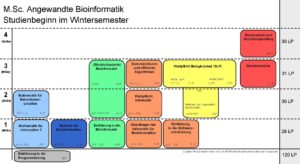 Studienverlaufsplan Angewandte Bioinformatik